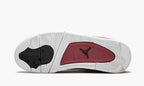 Air Jordan 4 Retro “Alternate”