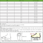 LVSS1 Lady fine quality 35-42 shoes With box